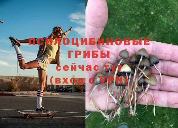 Альфа ПВП Балахна