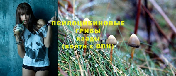 тгк Покровск