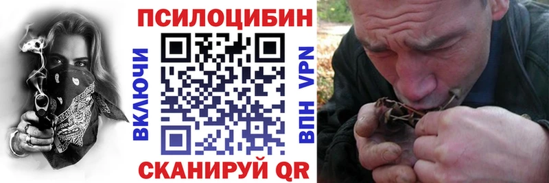закладки  нарко площадка Telegram  Псилоцибиновые грибы MAGIC MUSHROOMS  Сокол 